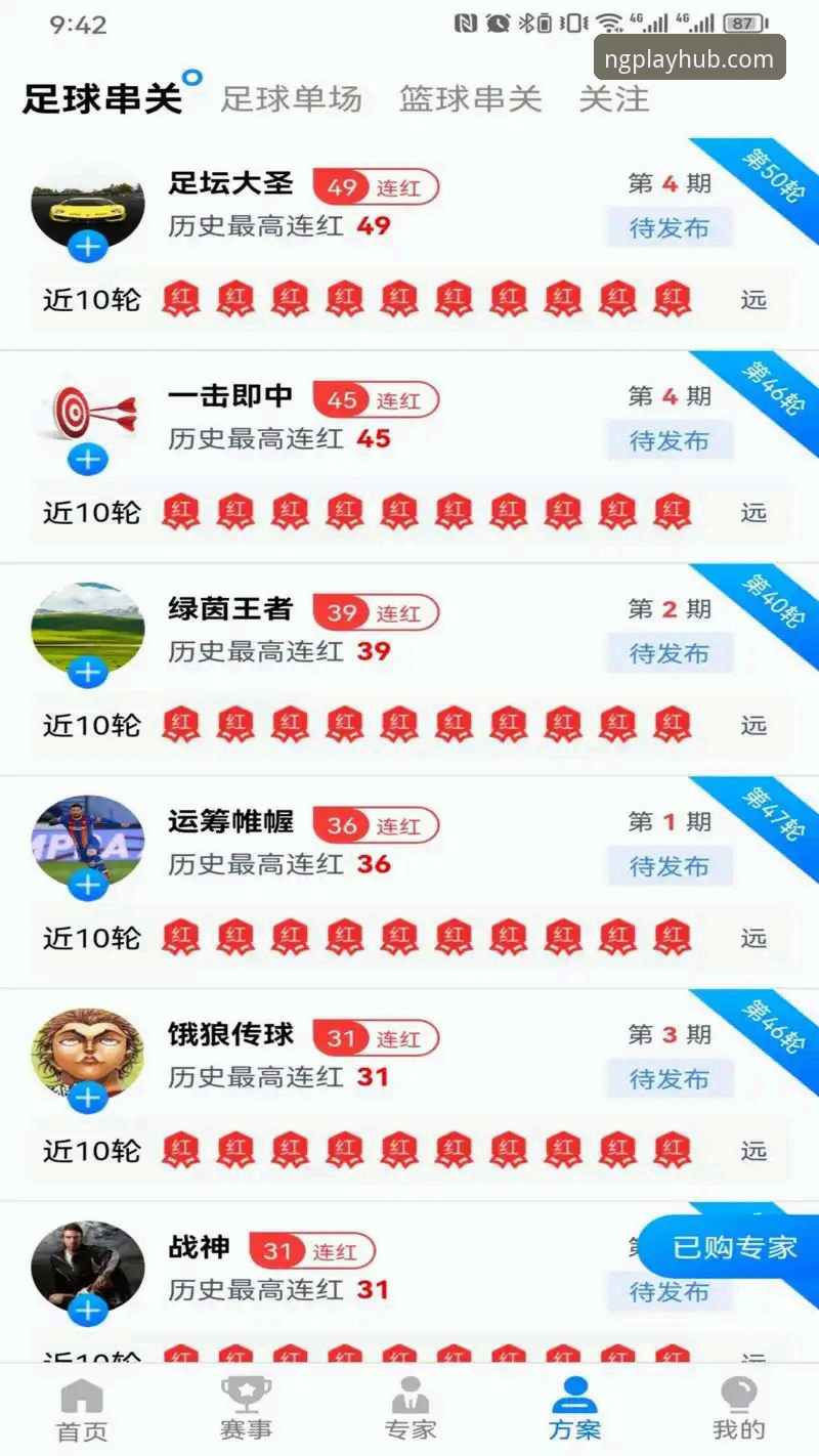 NG体育官网登录与下载全流程详解